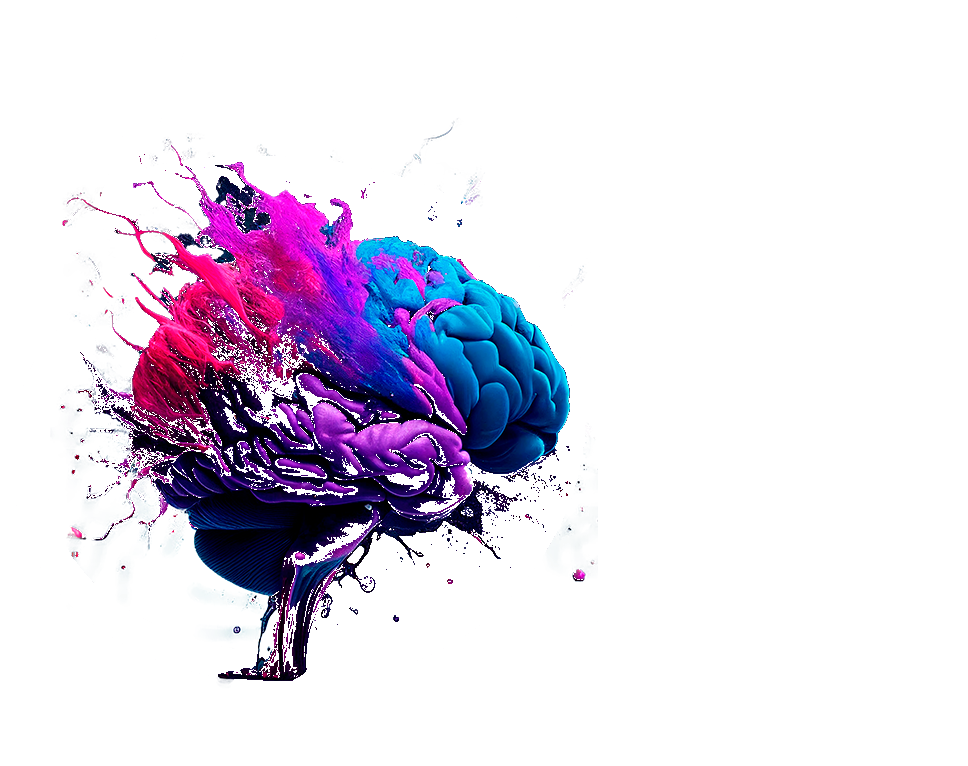 5HT Cursos